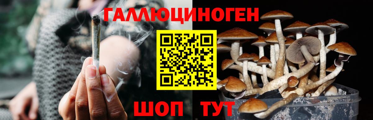 Галлюциногенные грибы Psilocybine cubensis  Псилоцибиновые грибы прущие грибы  Чусовой  Вход с VPN 